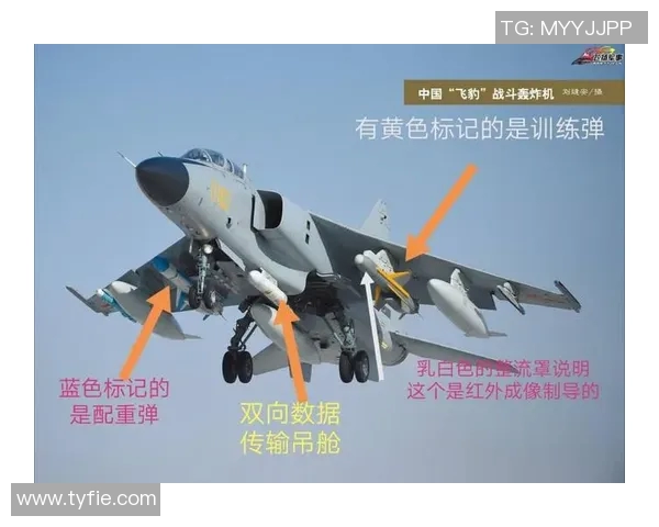 中国足球明星李的辉煌历程与未来展望解析
